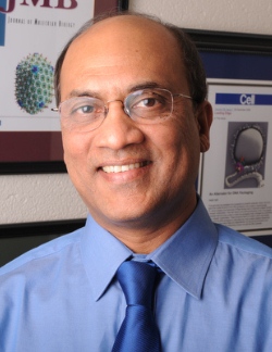 Venigalla B. Rao, Ph.D. Headshot