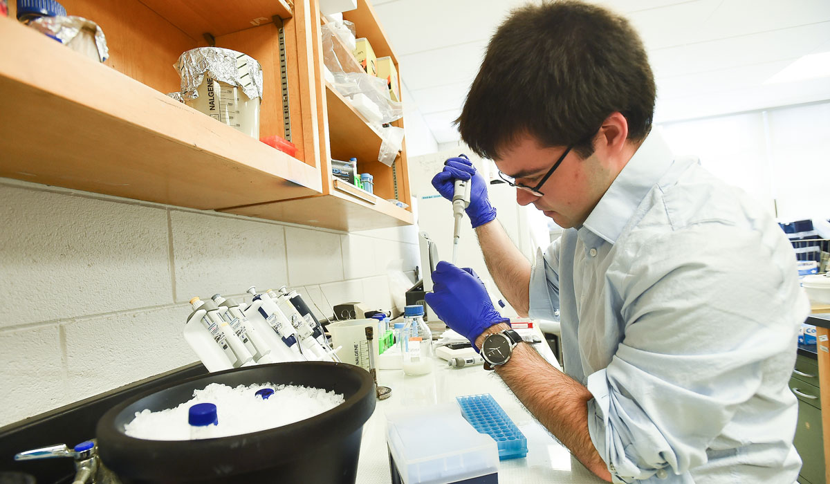 A man is hard at work at a science lab, squeezing something into a test tube. He is wearing a white coat and purple rubber gloves.