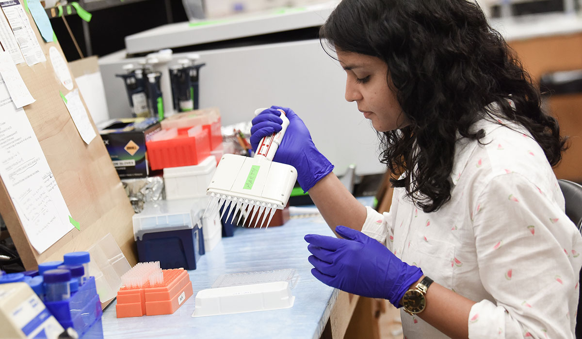 Student working in lab