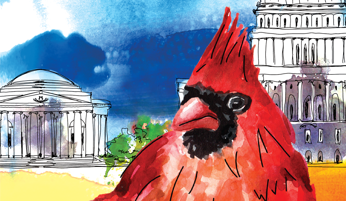 Painting of a cardinal in front of the D.C. monuments