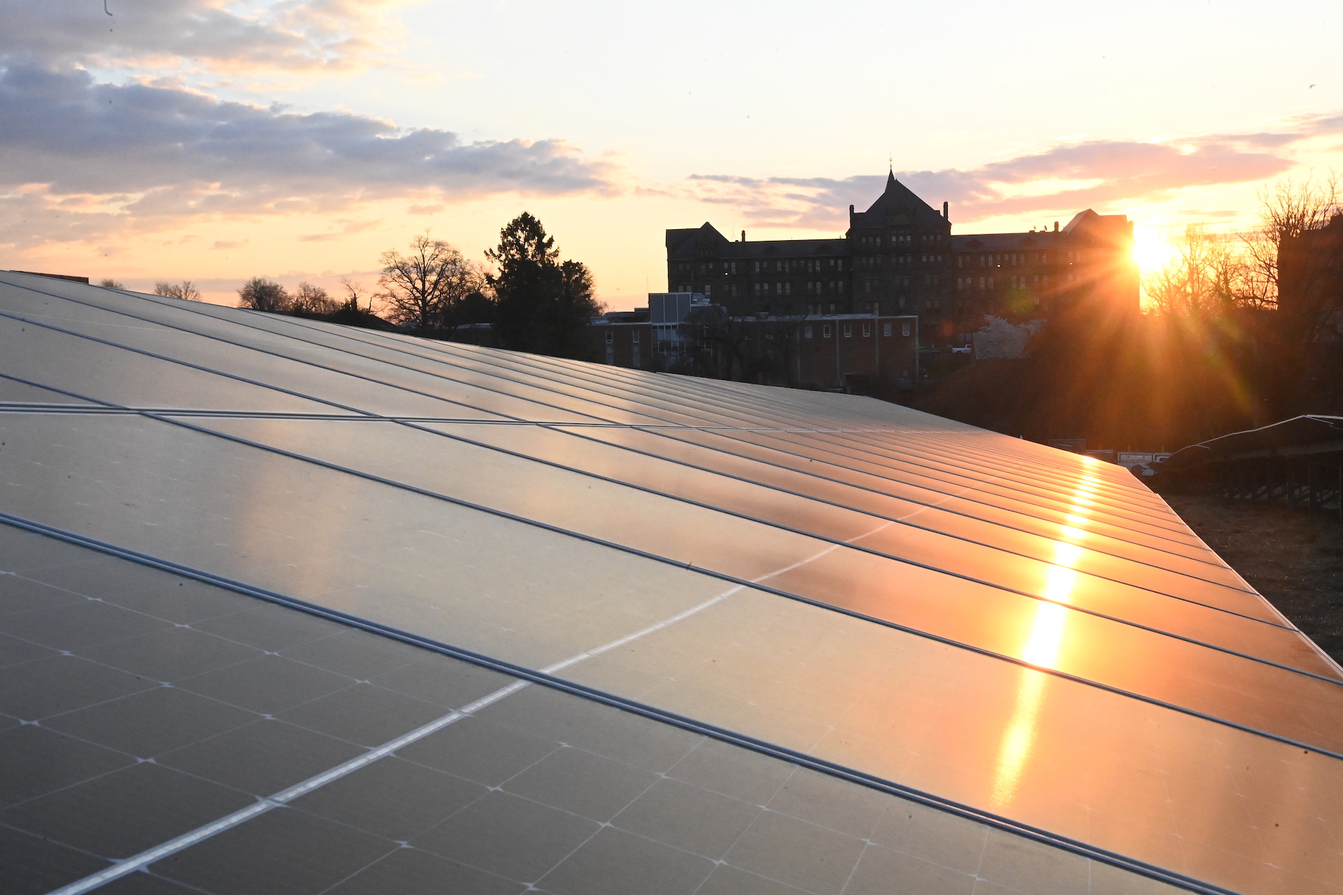 solar array at dawn