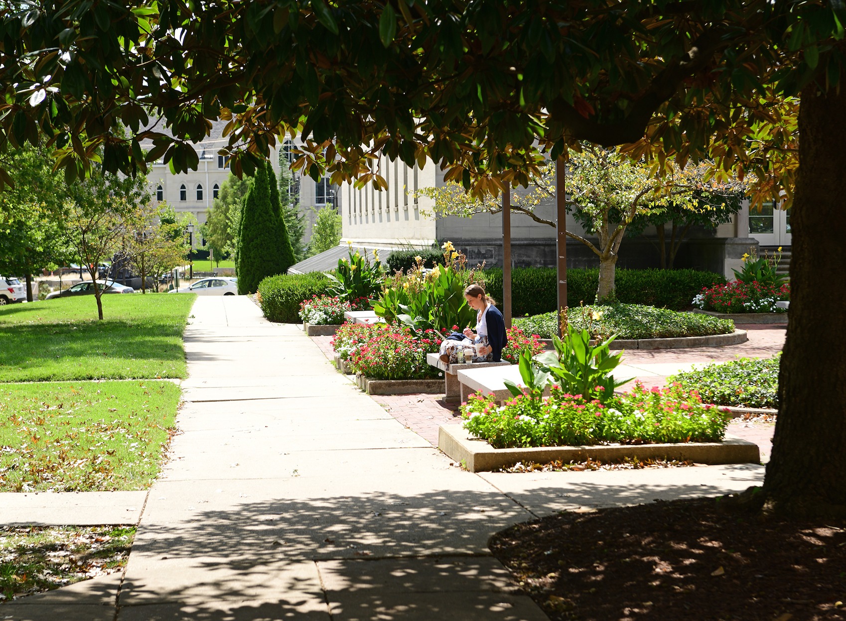 woman reading on a plaza lined with flower beds on campus