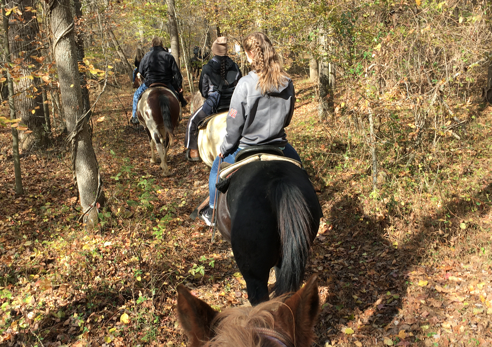 students horseback riding