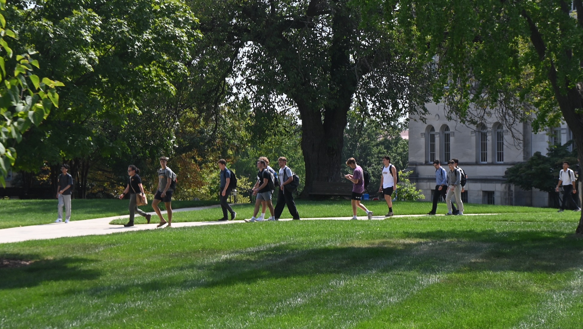 students walking across a tree-covered part of campus