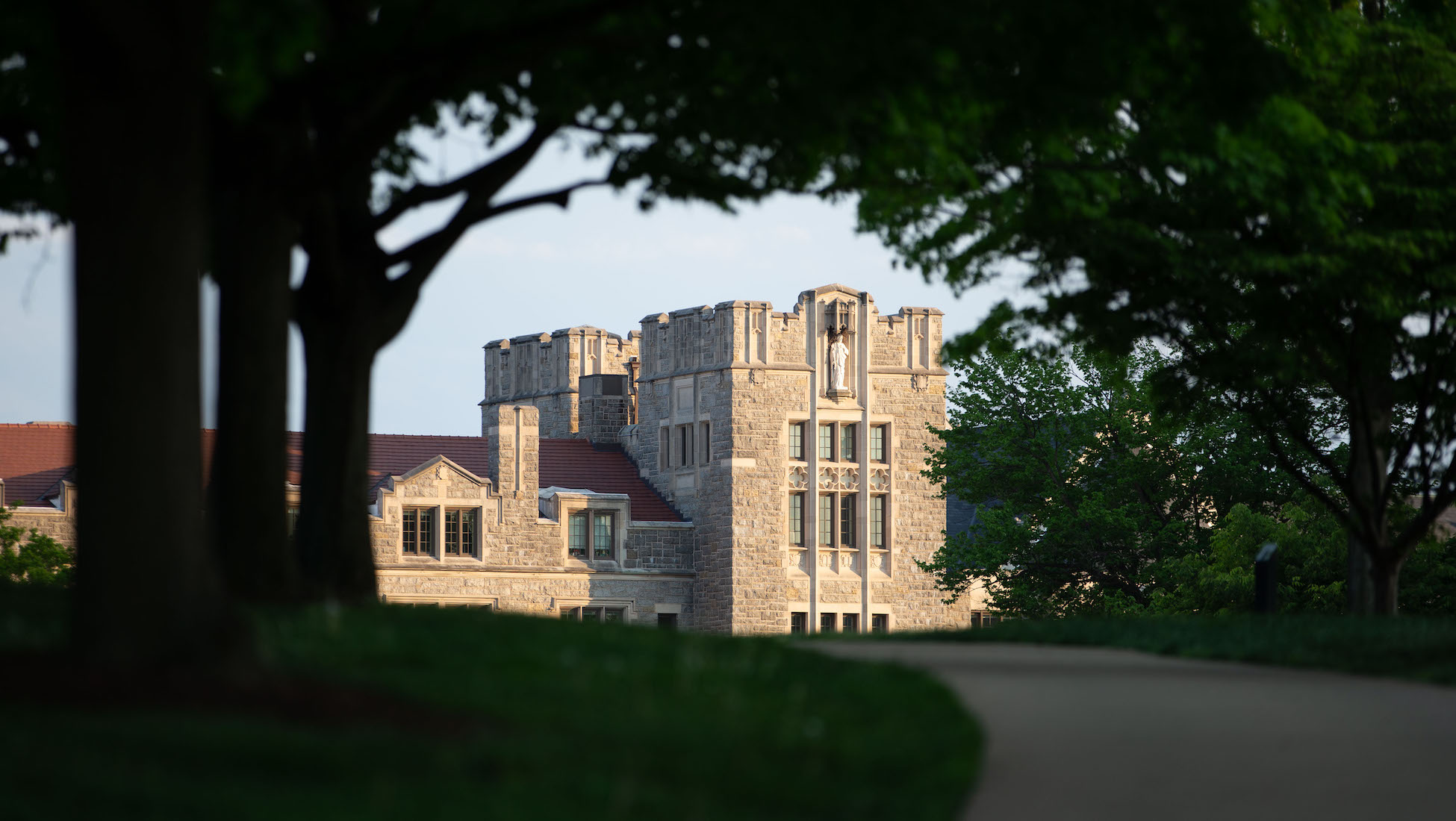 view of a campus building in the middle distance behind a tree-lined path