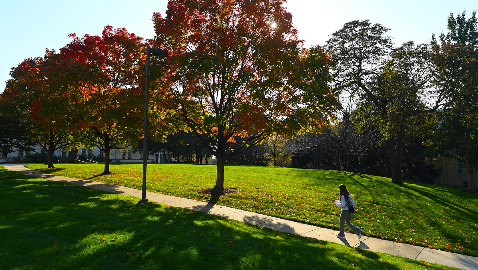 student walking under fall trees on campus