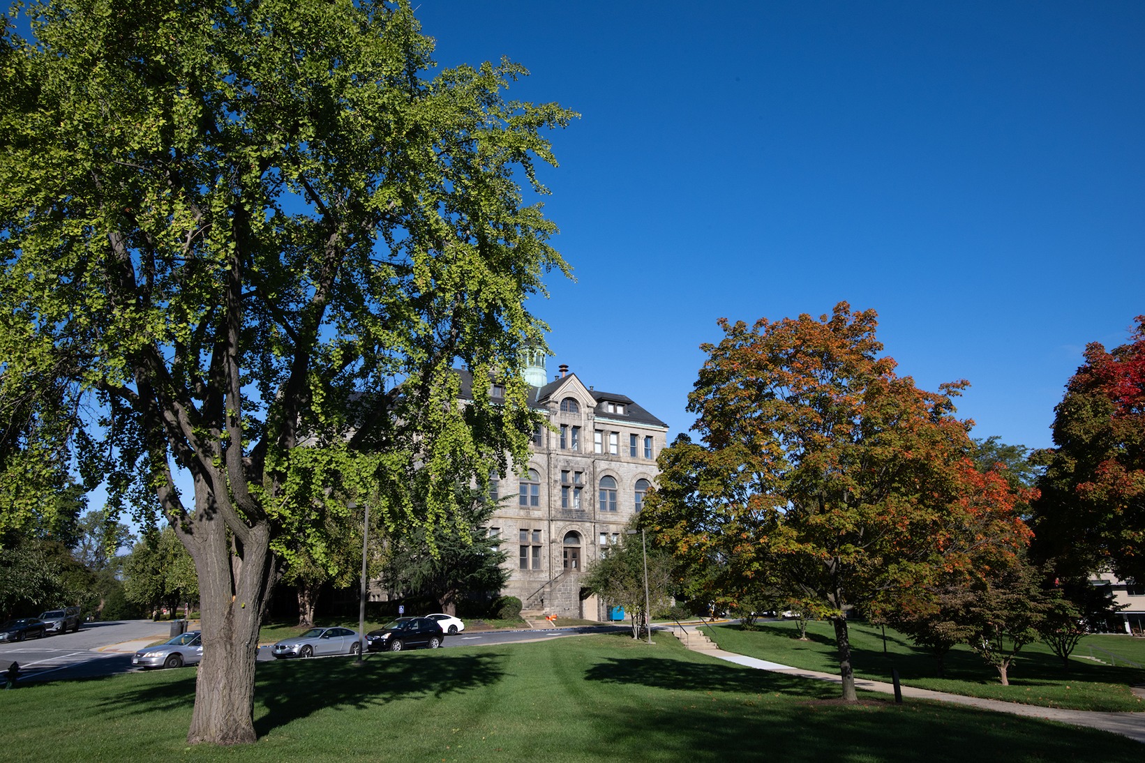 campus building surrounded by trees