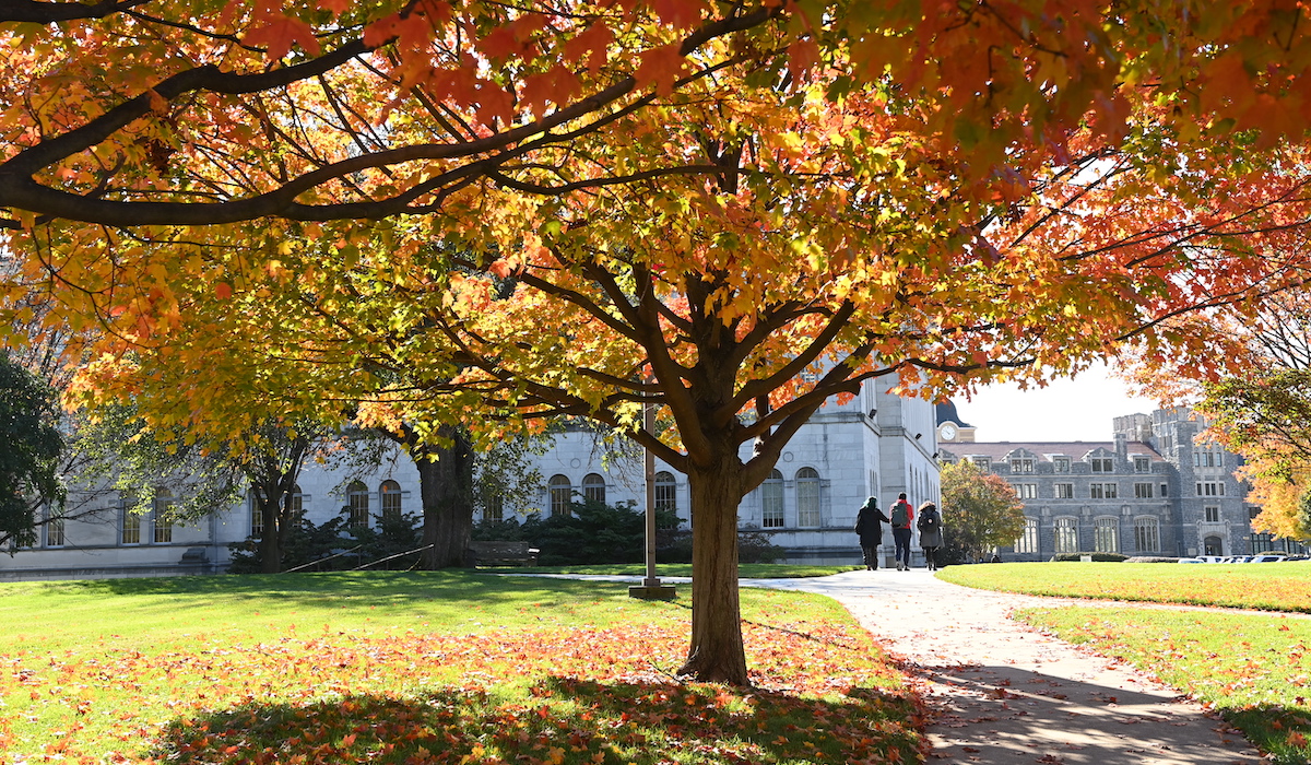 tree on campus with orange colored leaves in the fall