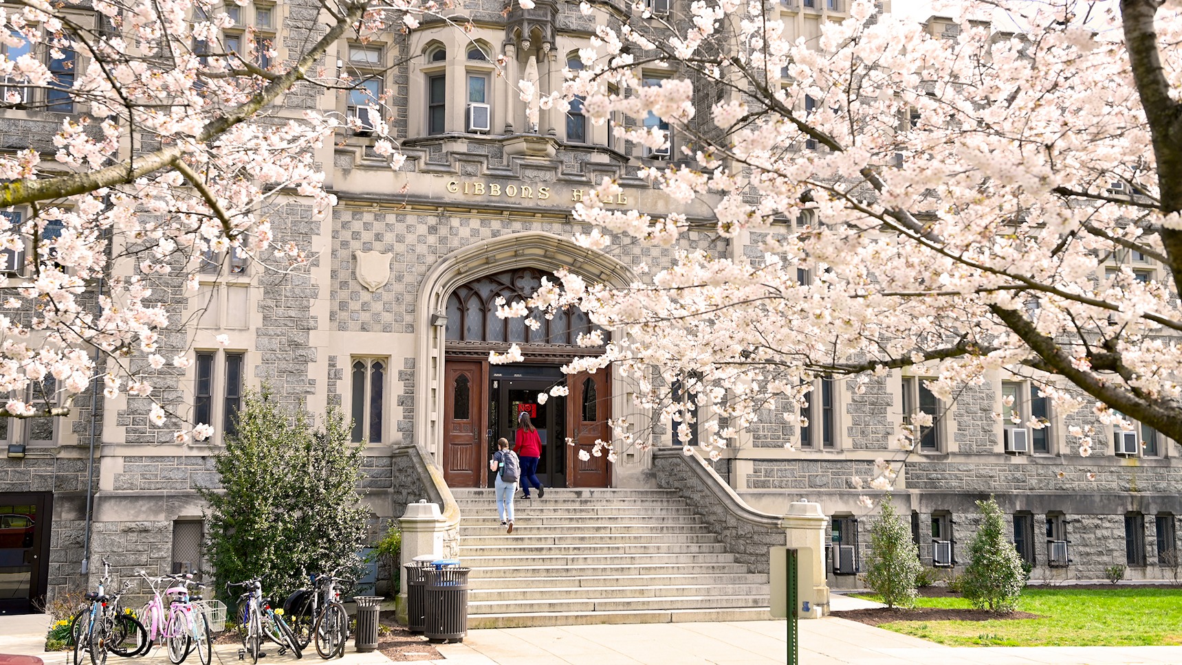 cherry blossoms frame Gibbons Hall on campus