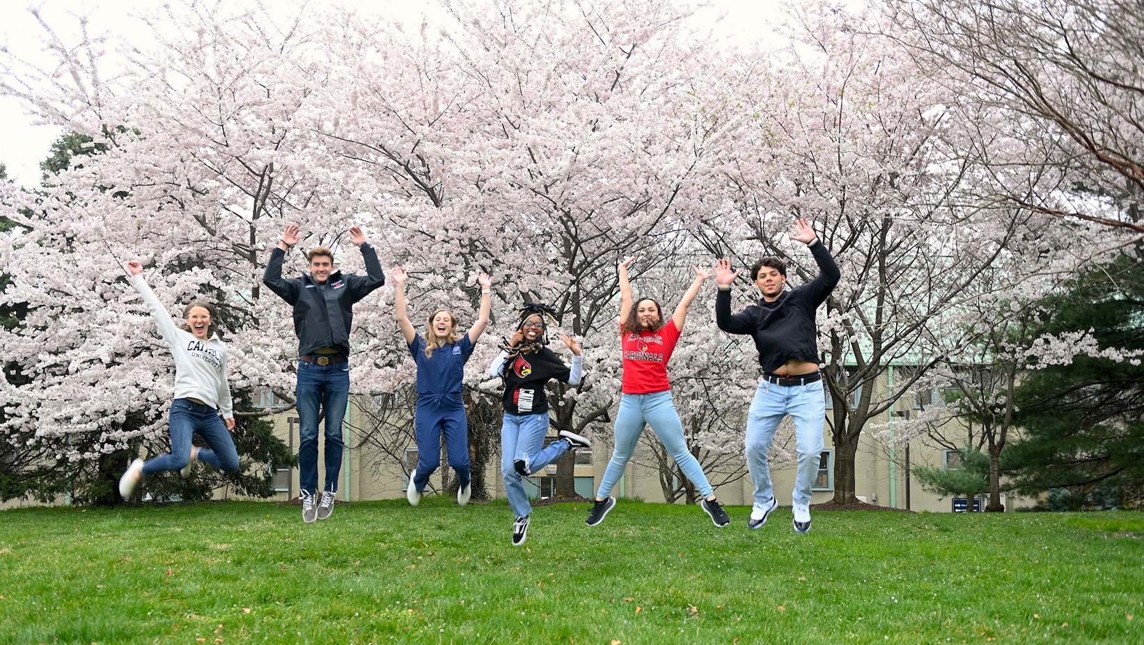 students jumping for joy with cherry blossom trees in the back