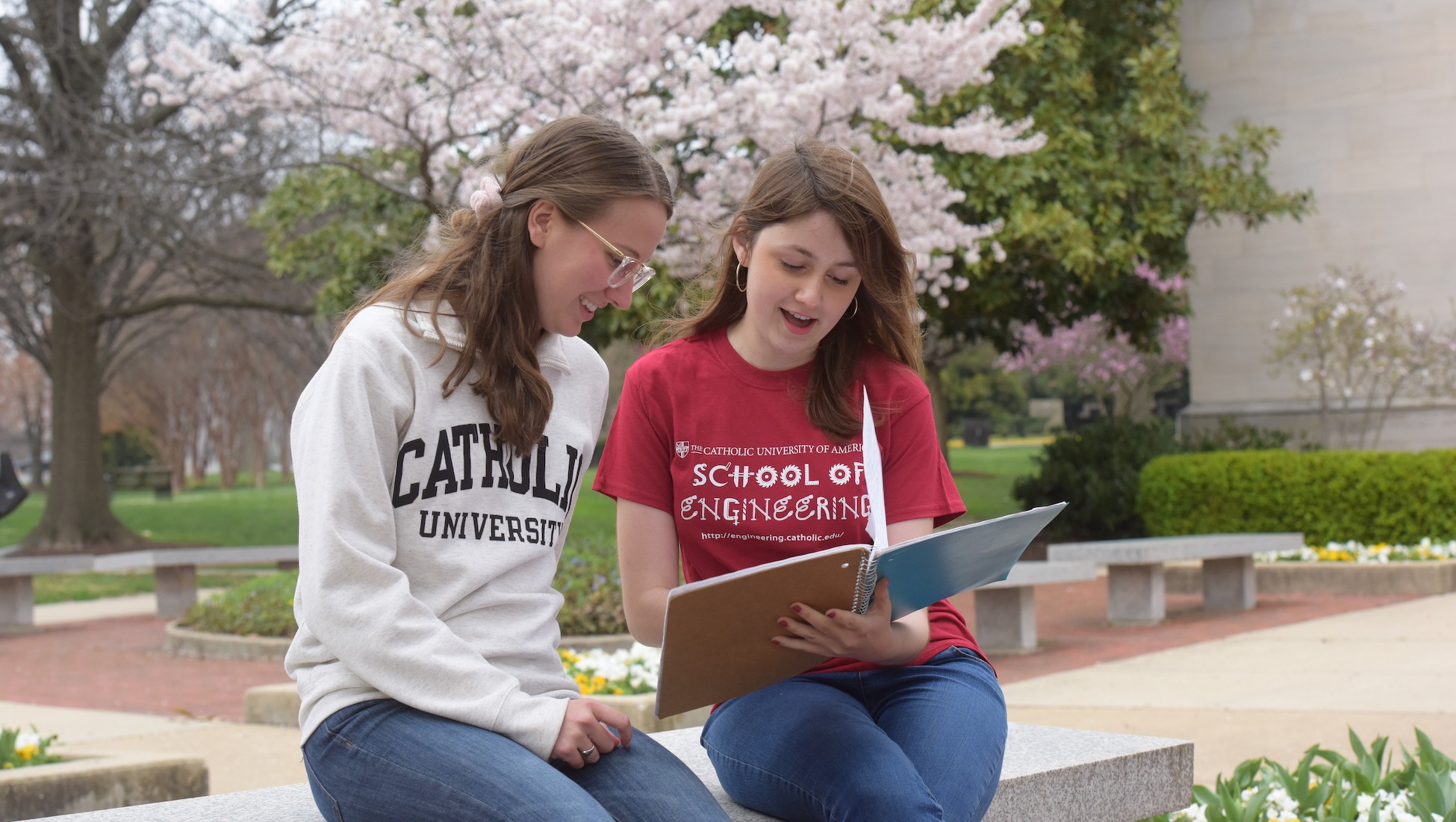 engineering students looking at notes together in an outdoor space on campus surrounded by cherry blossom trees