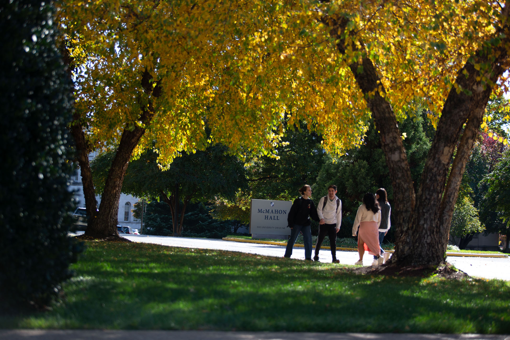 students walking under a tree with yellow colored leaves in the fall