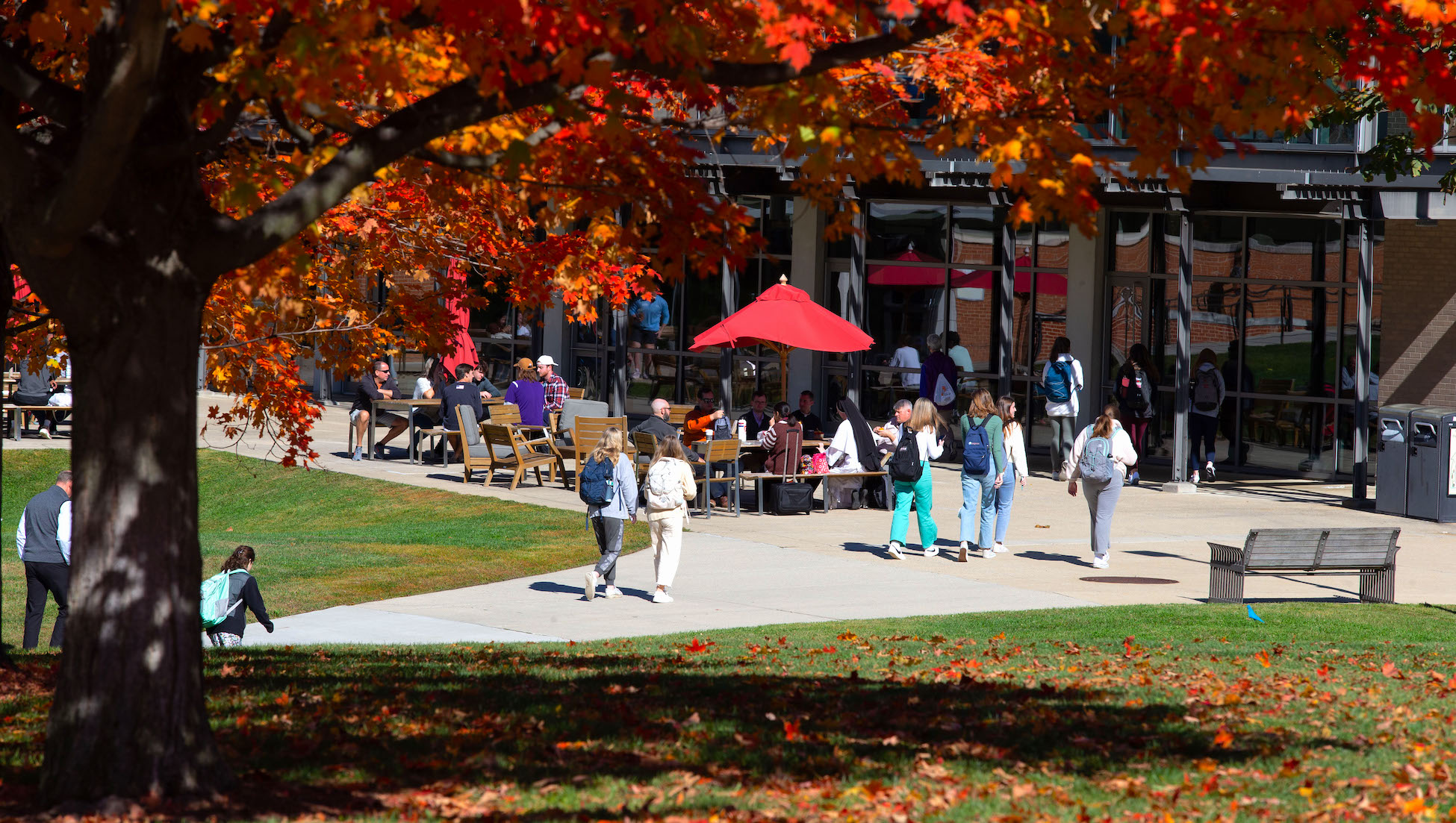 buzzing campus activity framed by trees turning orange in the fall