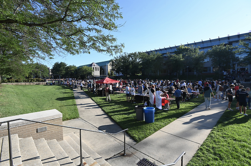 outdoor lawn event