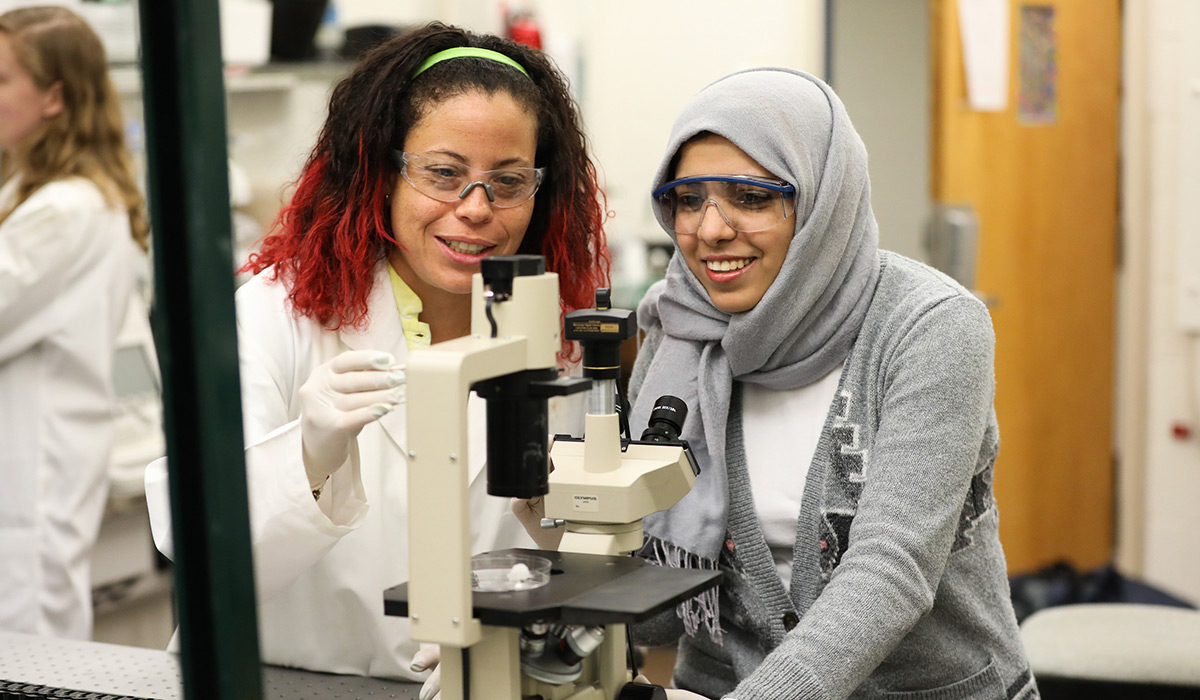 Students at work in the School of Engineering.