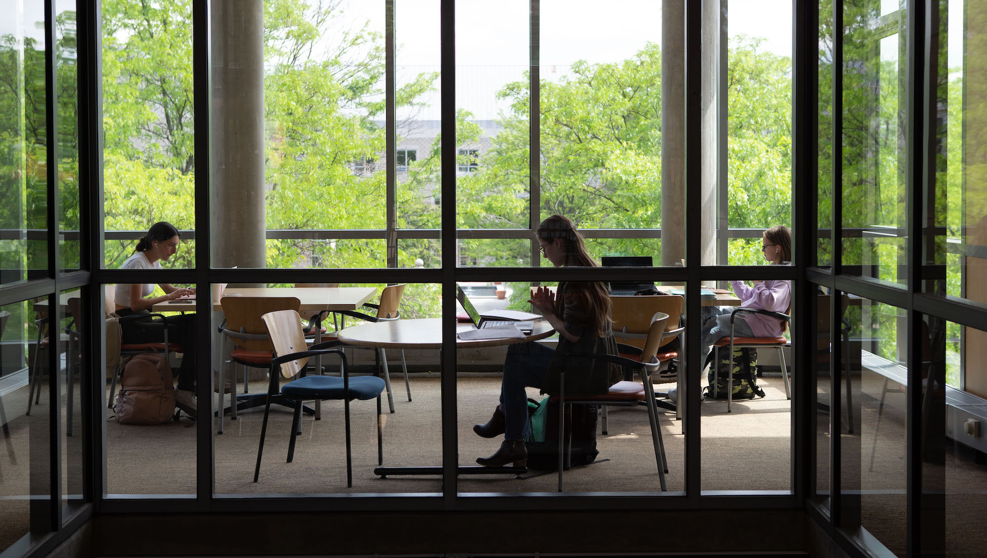 students studying in a room surrounded by windows that have a view to outside campus trees