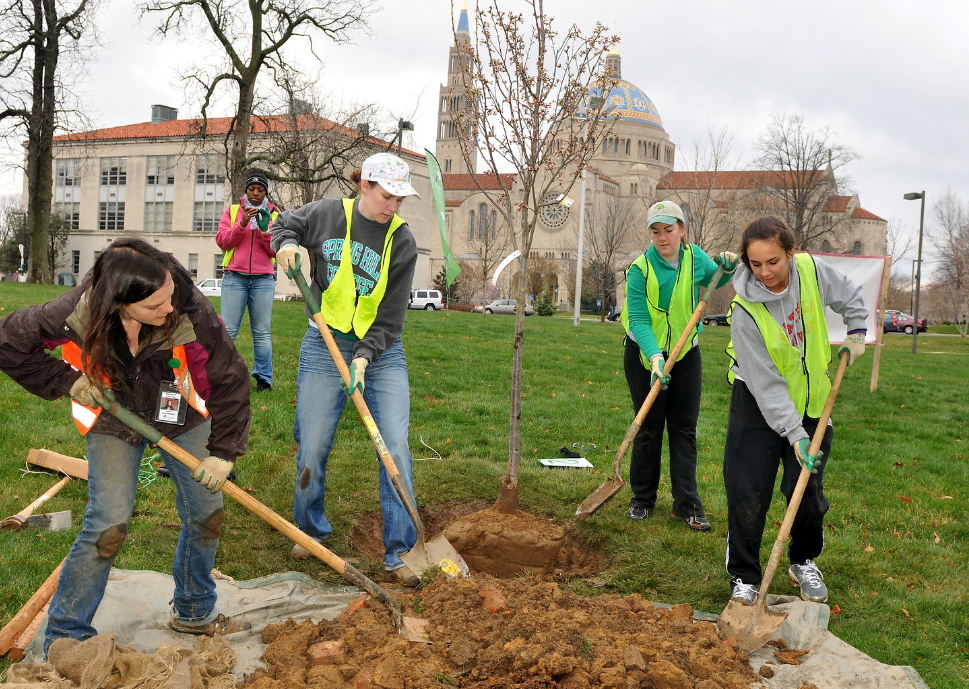 group of students digging a hole