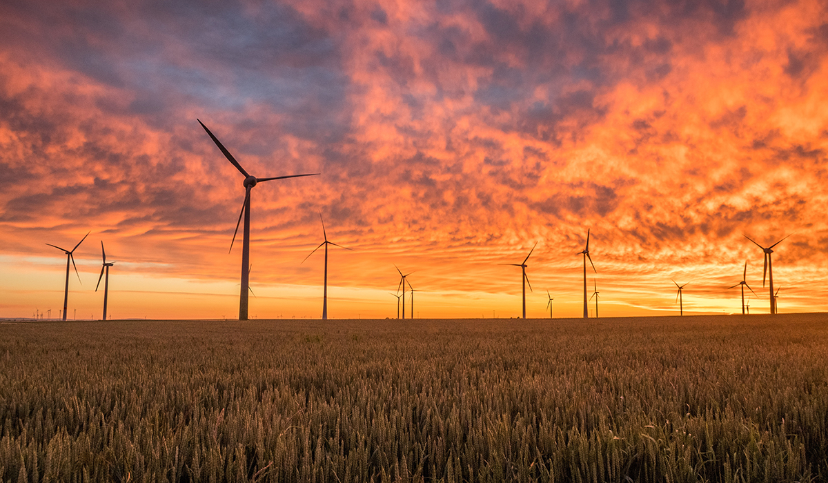 windmills in an open field